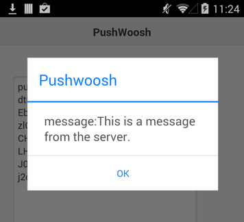 Pushwhoosh1.png
